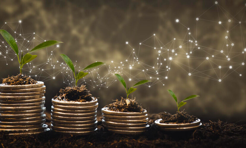 Awakening Your Wealth